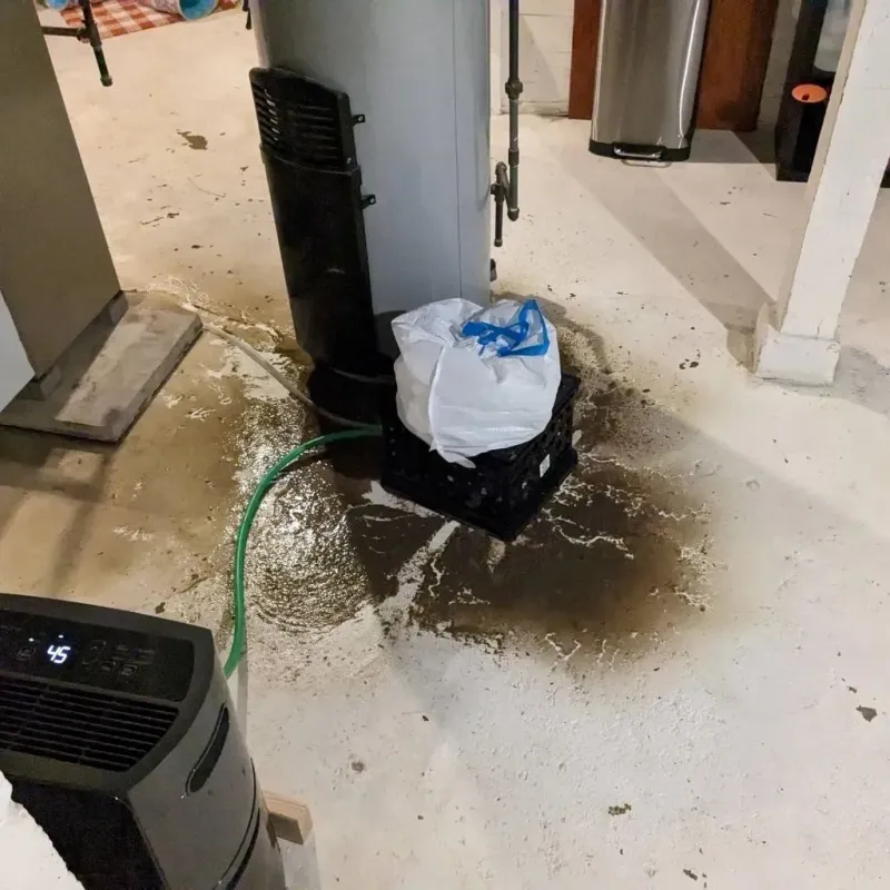 Sewage Backup Cleanup Service in Huntingdon, PA